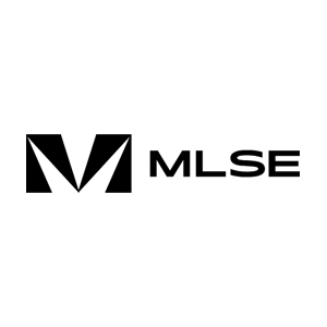 mlse_grey